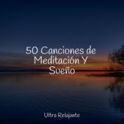 50 Canciones de Meditación Y Sueño