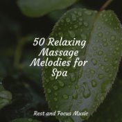 50 Relaxing Massage Melodies for Spa