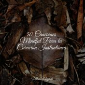 50 Canciones Mindful Para la Curación Instantánea