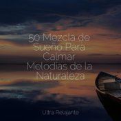 50 Mezcla de Sueño Para Calmar Melodías de la Naturaleza