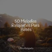 #50 Colección de Música de Meditación