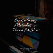 50 Calming Melodies on Piano for Now