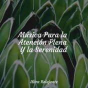 Música Para la Atención Plena Y la Serenidad