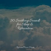 50 Soothing Sounds for Sleep & Relaxation