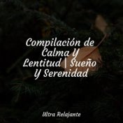 Compilación de Calma Y Lentitud | Sueño Y Serenidad