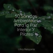 50 Sonidos Ambientales Para la Paz Interior Y Pilates