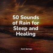 50 Sounds of Rain for Sleep and Healing