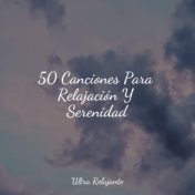 50 Canciones Para Relajación Y Serenidad