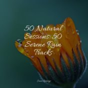 50 Natural Sessions: 50 Serene Rain Tracks