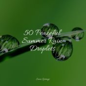 50 Peaceful Summer Rain Droplets