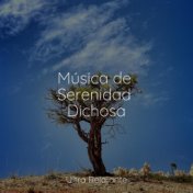 Música de Serenidad Dichosa