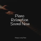 Piano Relaxation Sound Now