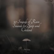 50 Sounds of Rain Sounds for Sleep and Chillout
