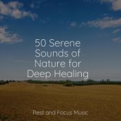 50 Serene Sounds of Nature for Deep Healing