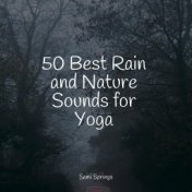 50 Best Rain and Nature Sounds for Yoga