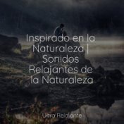 Inspirado en la Naturaleza | Sonidos Relajantes de la Naturaleza