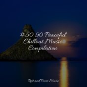 #50 50 Peaceful Chillout Music Compilation