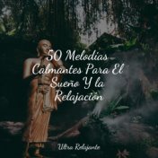 50 Melodías Calmantes Para El Sueño Y la Relajación