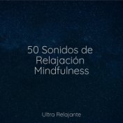 50 Sonidos de Relajación Mindfulness