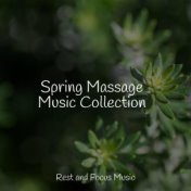 Spring Massage Music Collection