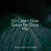 50 Calm & Slow Songs for Sleep Mix