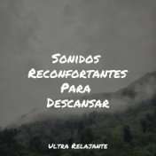 Sonidos Reconfortantes Para Descansar