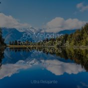 50 Melodías Relajantes de la Naturaleza