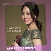 Mozart & Beethoven: Works for Violin