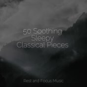 50 Soothing Sleepy Classical Pieces