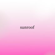 Sunroof (Slowed + Reverb)