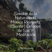 Sonidos de la Naturaleza | Música Relajante | Sueño | Enfoque de Spa Y Meditación