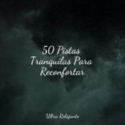 50 Pistas Tranquilas Para Reconfortar