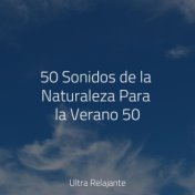 50 Sonidos de la Naturaleza Para la Verano 50