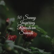 50 Sunny Inspiring Rainstorm Sounds