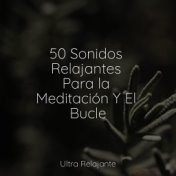 50 Sonidos Relajantes Para la Meditación Y El Bucle