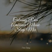 Calming Rain Ambience Music Sleep Mix