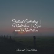Chillout Collection | Meditation | Spa and Meditation