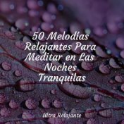 50 Melodías Relajantes Para Meditar en Las Noches Tranquilas