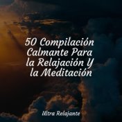 50 Compilación Calmante Para la Relajación Y la Meditación