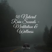 50 Natural Rain Sounds - Meditation & Wellness