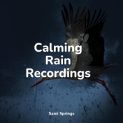 Calming Rain Recordings