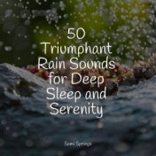 50 Triumphant Rain Sounds for Deep Sleep and Serenity