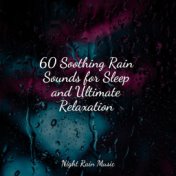 60 Soothing Rain Sounds for Sleep and Ultimate Relaxation