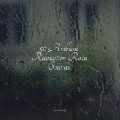 50 Ambient Relaxation Rain Sounds