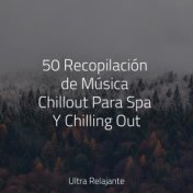 50 Recopilación de Música Chillout Para Spa Y Chilling Out