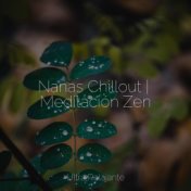 Nanas Chillout | Meditación Zen