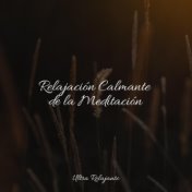 Relajación Calmante de la Meditación