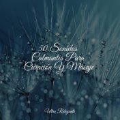 50 Sonidos Calmantes Para Curación Y Masaje