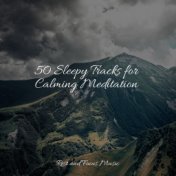 50 Sleepy Tracks for Calming Meditation