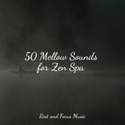 50 Mellow Sounds for Zen Spa